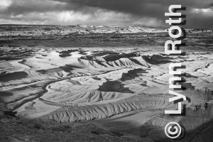 Ancient Landscapes