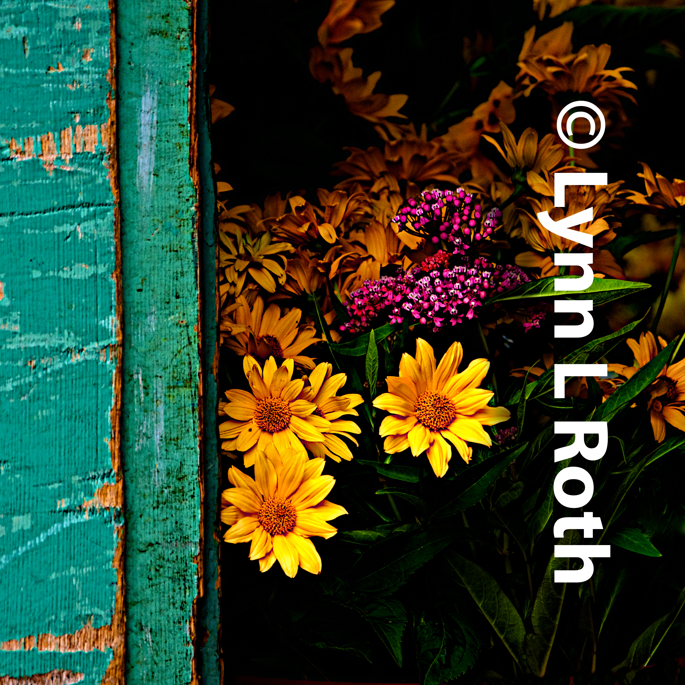 Color waiting by the door