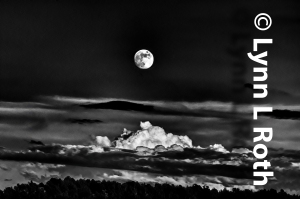 Buck Moon Rising