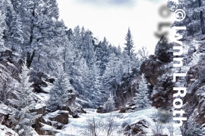 Frozen Fern Grotto
