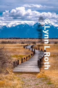 Rhythm Upward