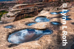 Sky Pools