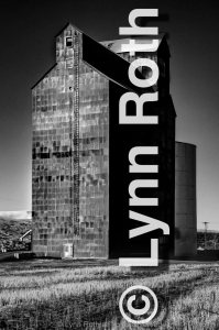 Stretching into the heavens, this highrise gathers the harvest from the land below.