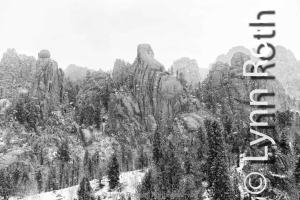 Crowd-of-Giants_DSC5388-Edit