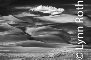 The weather sculpts the dunes, constantly changing the way forward.