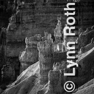 The hoodoos of Bryce seem to grow into gardens of hoodoos from the eroding cliffsides.