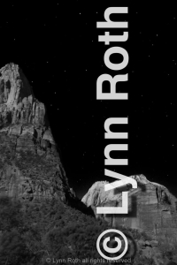 Zion in the Moonlight