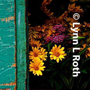 Color waiting by the door