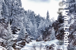 Frozen Fern Grotto