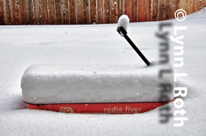 Silent Stillness on Red