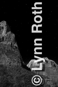 Zion in the Moonlight
