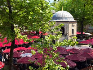 Bursa