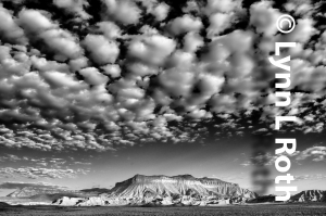 Sky Canopy
