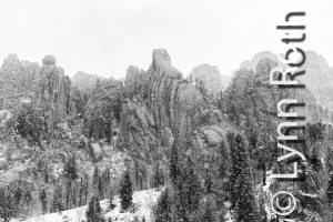 Crowd of Giants