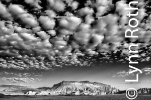 Sky Canopy