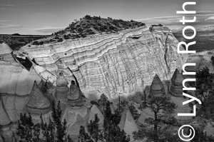 DSC_0214_HDR.v2