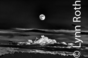 Buck Moon Rising
