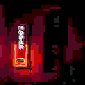 DSC0441-3