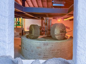 Olive Oil Museum