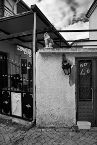 2_DSC2140