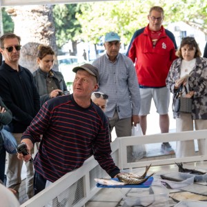 Daily Fish Auction, Iskele