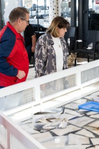 Daily Fish Auction, Iskele