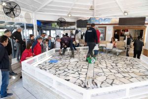 Daily Fish Auction, Iskele