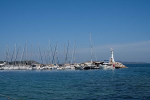 2_DSC2869