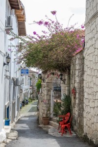 2_DSC3039