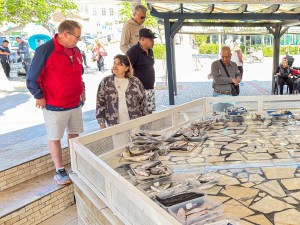 Daily Fish Auction, Iskele