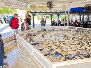 Daily Fish Auction, Iskele