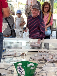 Daily Fish Auction, Iskele
