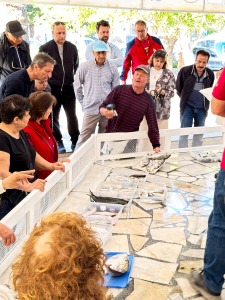 Daily Fish Auction, Iskele
