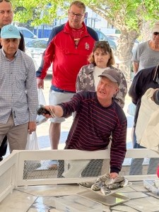 Daily Fish Auction, Iskele